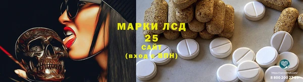 индика Лихославль