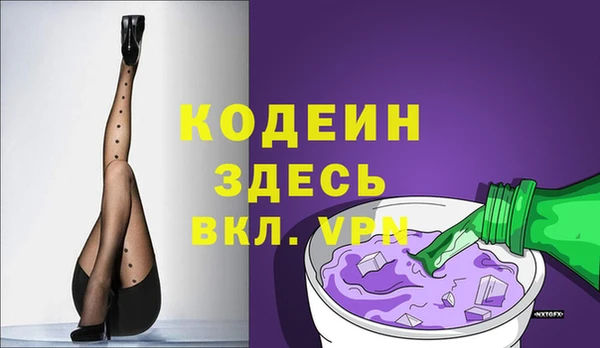 индика Лихославль