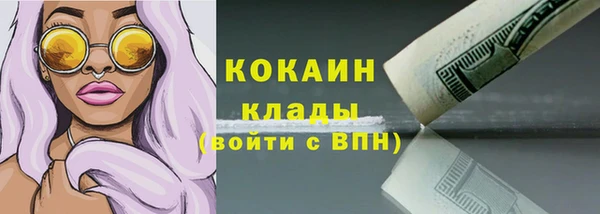 индика Лихославль