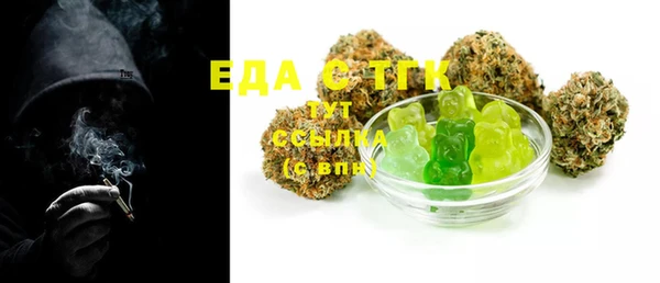 индика Лихославль