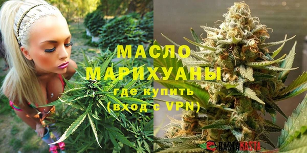 индика Лихославль