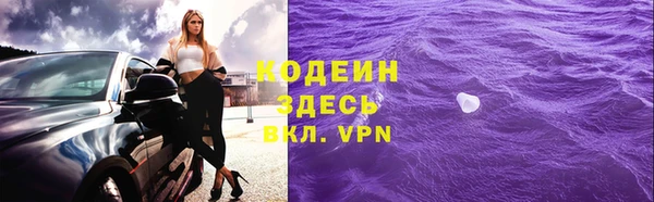 индика Лихославль