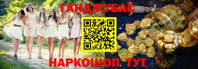 спиды Гагарин