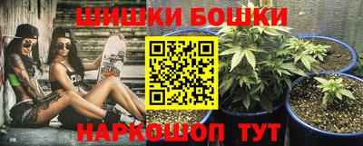 Альфа ПВП Бийск