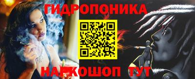 спиды Гагарин