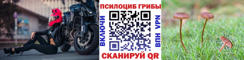 Галлюциногенные грибы MAGIC MUSHROOMS  Егорьевск 