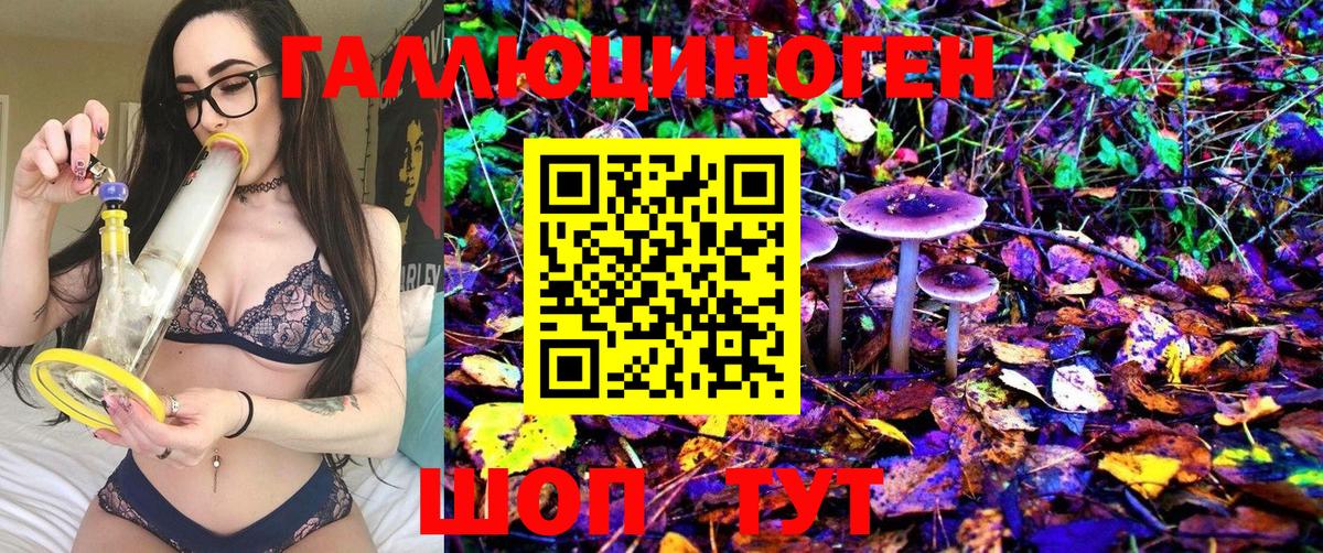 Псилоцибиновые грибы Psilocybine cubensis  Псилоцибиновые грибы прущие грибы  Вход с VPN  Егорьевск 