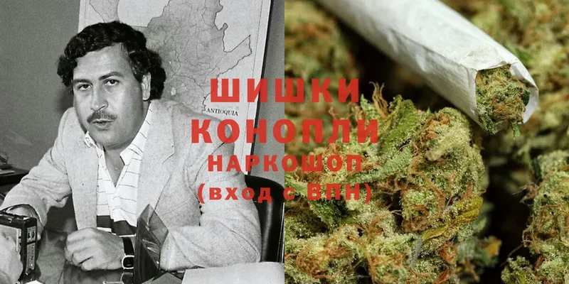 сколько стоит  Егорьевск  Бошки Шишки OG Kush 